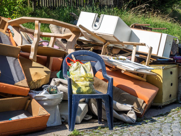 Best Electronics Removal Services  in Borrego Springs, CA