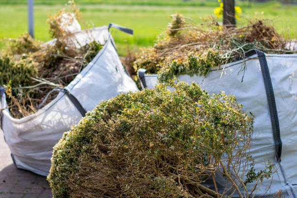 Best Junk Removal Near Me  in Borrego Springs, CA